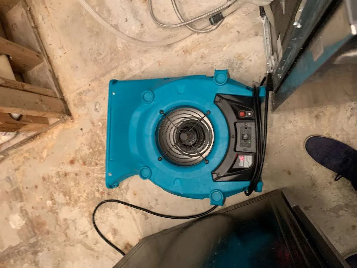 Air mover drying equipment for Mold Remediation & Removal in Charleston